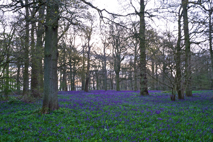 blickling2504162