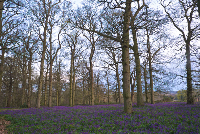 blickling2504164