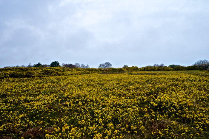 kellingheath1404162