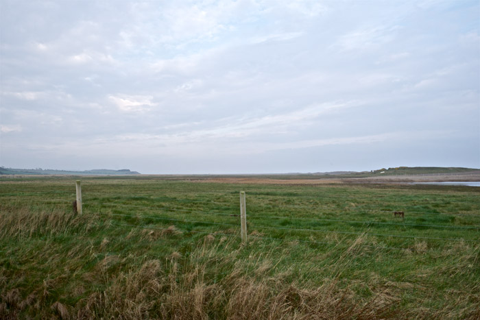 salthouse1404162