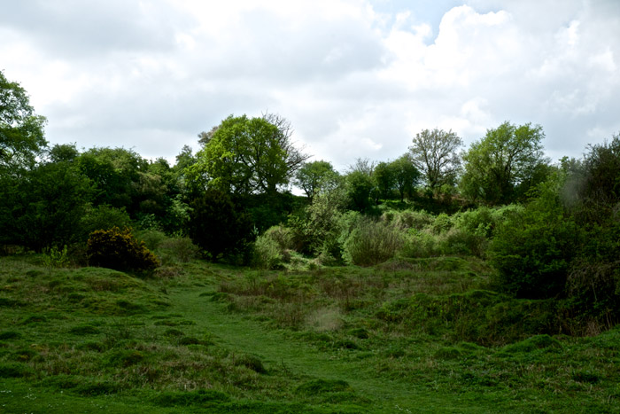 AlderfordCommon1105164