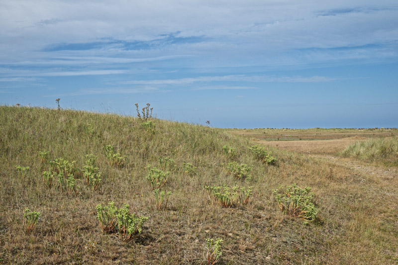 BlakeneyPoint1808163