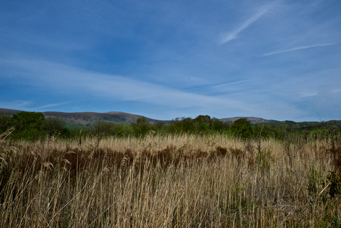 CorsDyfi0505161