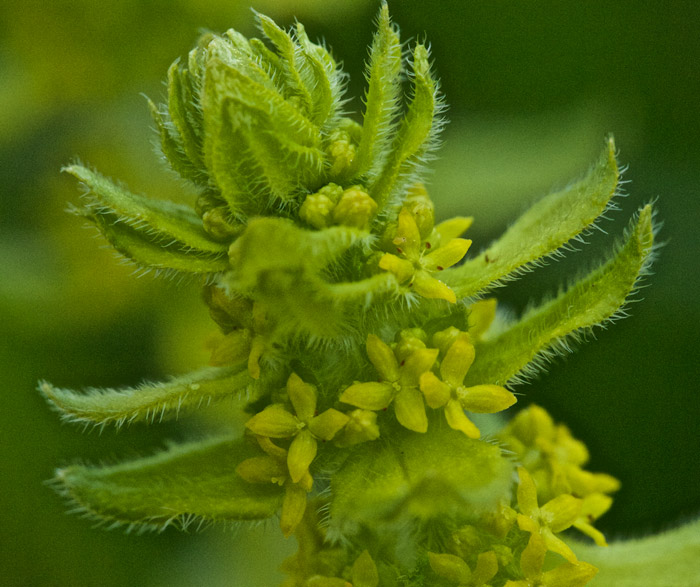 crosswort0205161