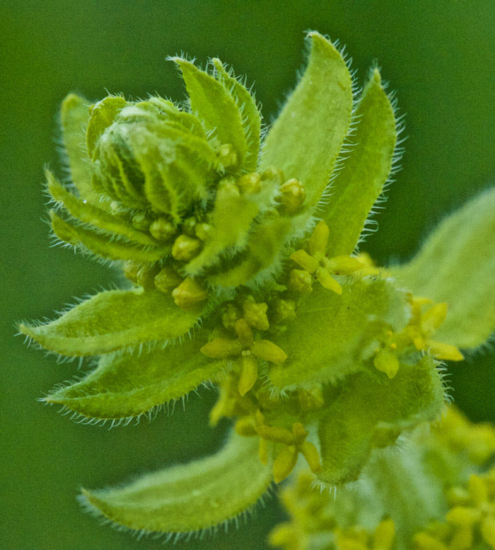 crosswort0205163