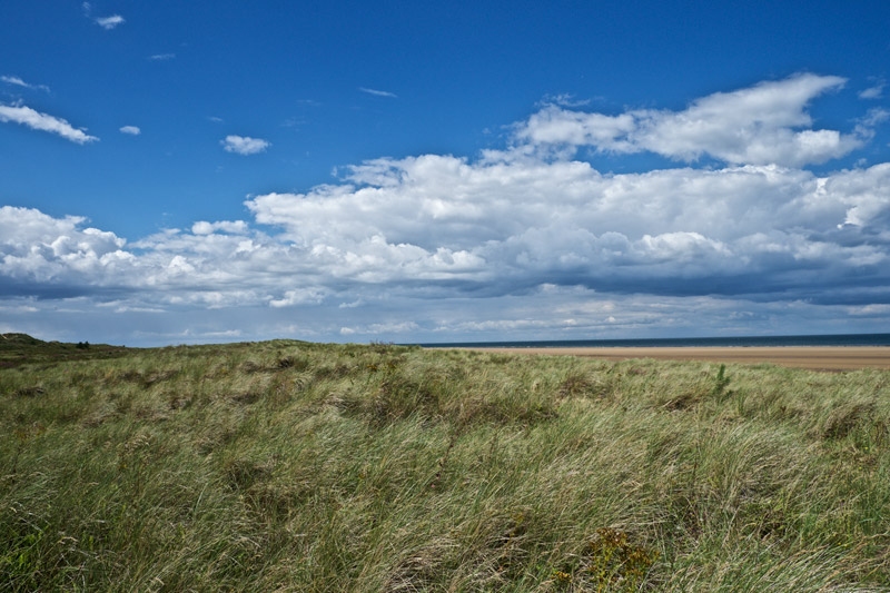 Holkham0408162