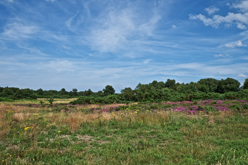 KellingHeath2407161