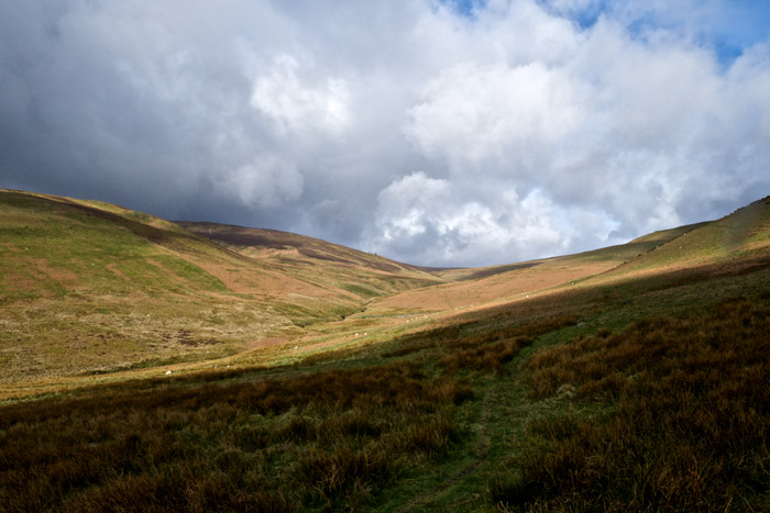 Moel-Sych0305161