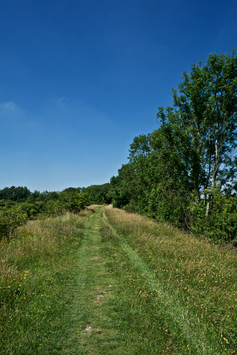 NarboroughRailwayLine1907161