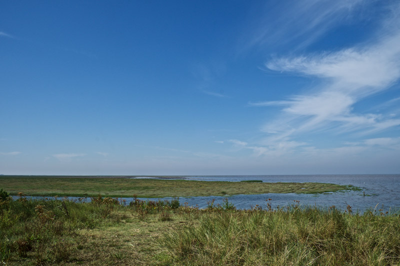 Snettisham2408163