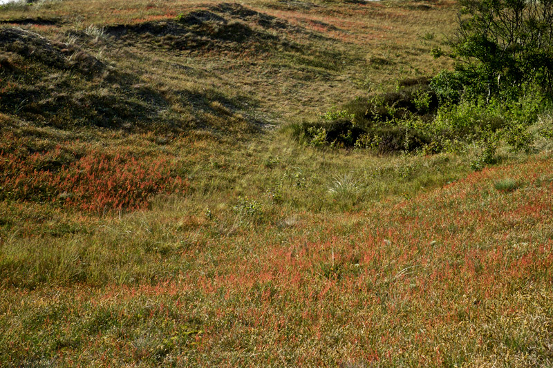 wintertondunes0706163