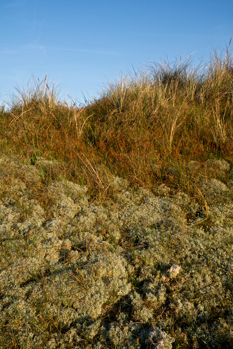 wintertondunes0706164