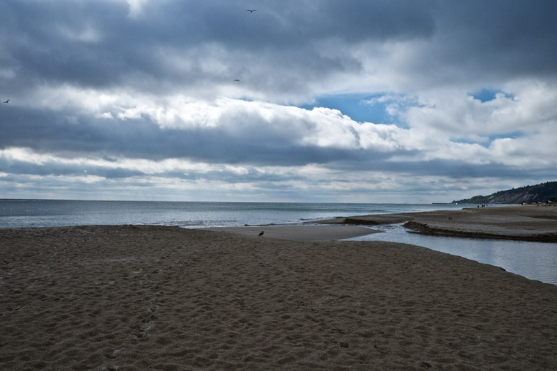 Albena2009163