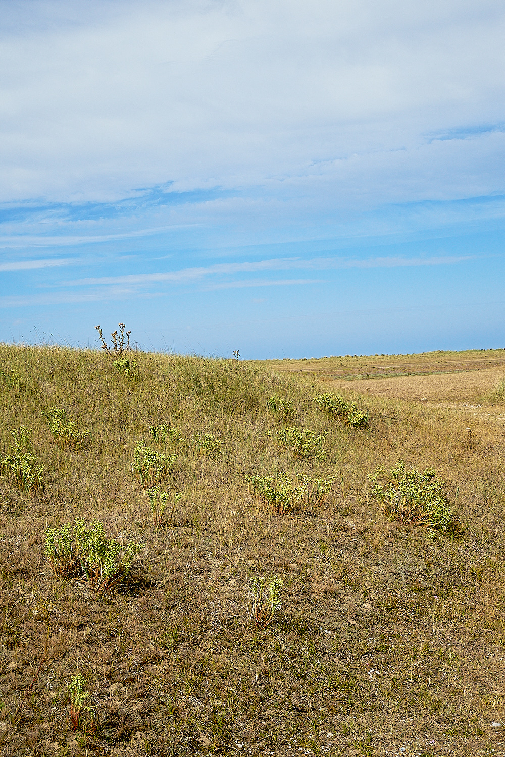 BlakeneyPoint190816-7