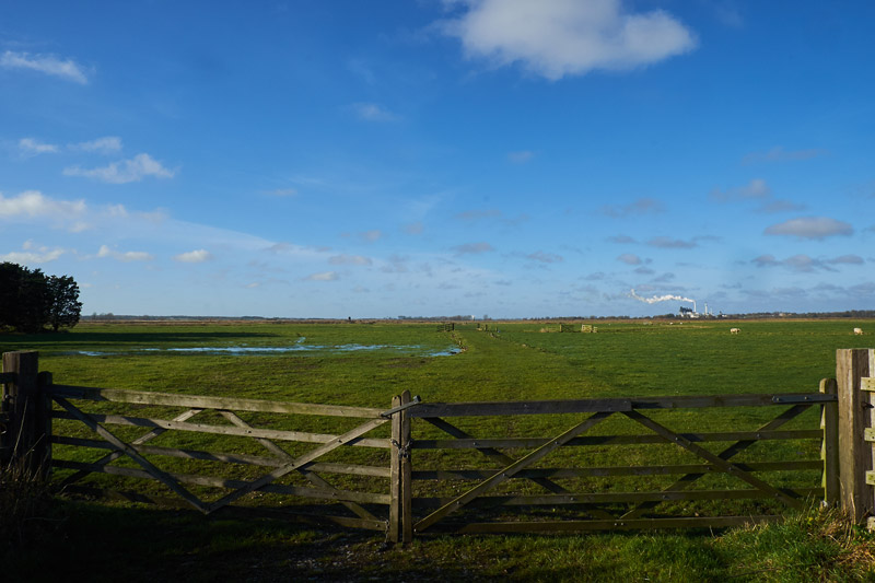 CantleyMarshes2511161