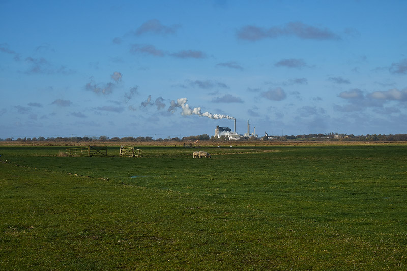 CantleyMarshes2511162