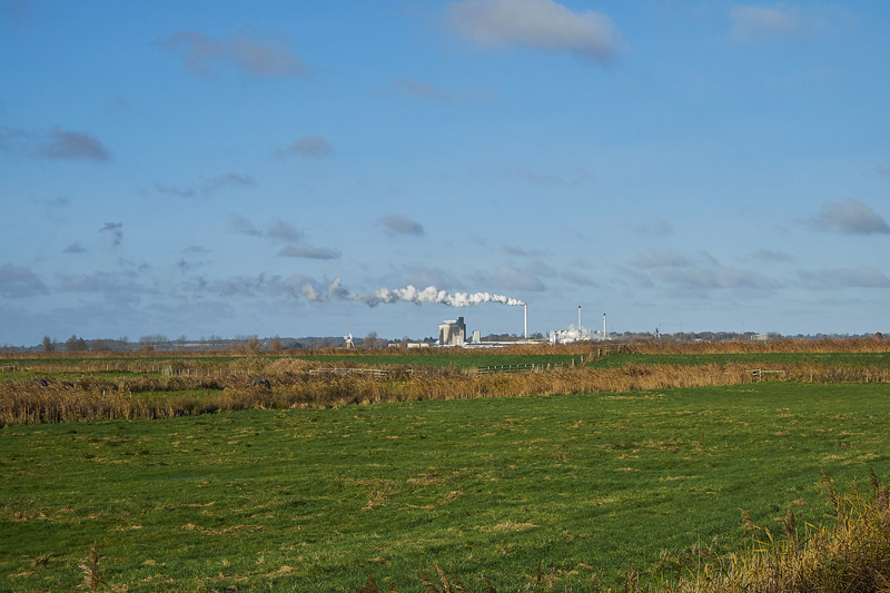 CantleyMarshes2511163