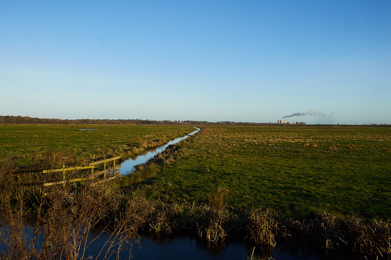 NewBuckenhamMarshes2511161