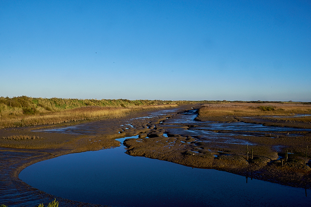 Titchwell2911161