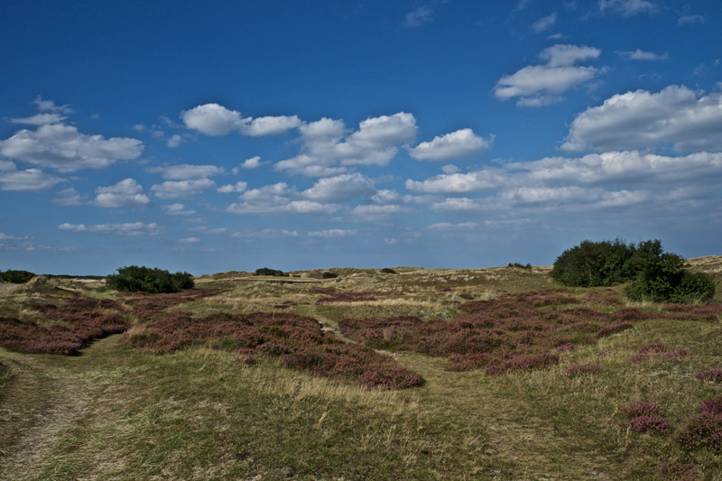 Winterton0809161