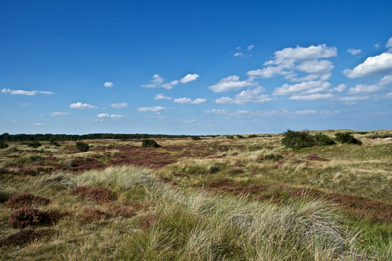 Winterton0809162